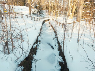 雪に覆われた川