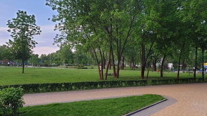 path in the park