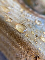 drops of water