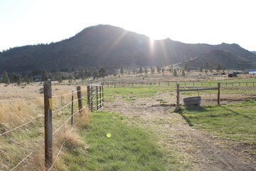 old farmland