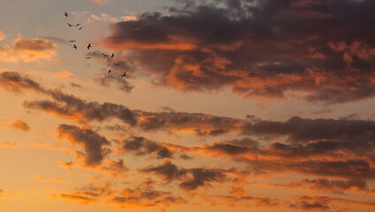 sunset over the clouds