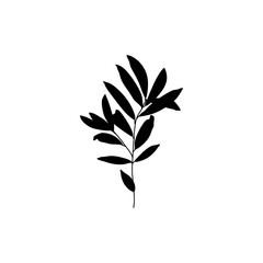 Silhouette Olive Branch with leaves. Outline Botanical leaves In a Modern Minimalist Style. Vector Illustration.