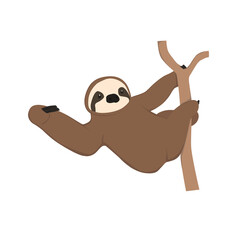 Sloths Illustration