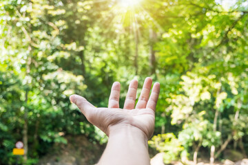 Fototapeta na wymiar Hand reach out to the forest green nature bokeh like praying and ask for something background.