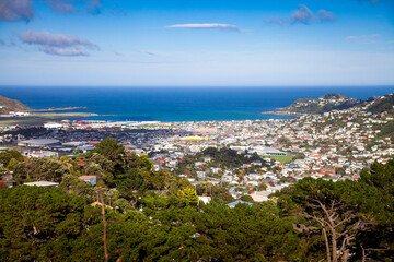 Fototapeta premium Auckland, New Zealand is a beautiful coastal city with clean water, blue skies, stunning vistas and friendly people.