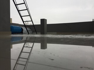 ladder to the sky,