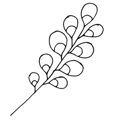 Sketch branch of leaves by hand on an isolated background. Hand drawn branches with leaves and flowers isolated on a white background.