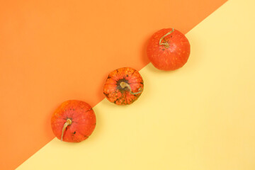 Three pumpkins on color paper background Creative