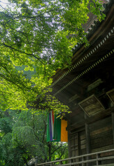 埼玉県春日部市小渕にある古い寺の屋根の一部と新緑。2020年5月17日。