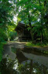 Fototapeta na wymiar 埼玉県春日部市小渕にある古い寺と新緑。2020年5月17日。