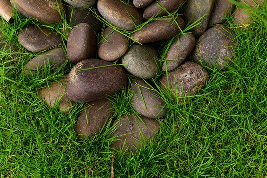Sones and Grass