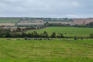 Countryside of Ireland. Photographed in 2011.
