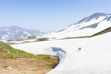 Group of hikers, tourists exploring wild nature with snowy and colourful mountains of Kamchatka 
