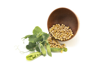 Dried peas and fresh plant with pods