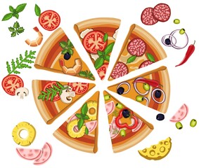 Set of pizzas with various fillings. illustration. High quality illustration