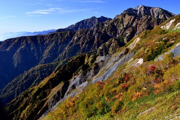 絶景紅葉の北アルプス・八方尾根（五竜岳をのぞむ）