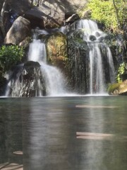 Obraz premium wodospad w lesie