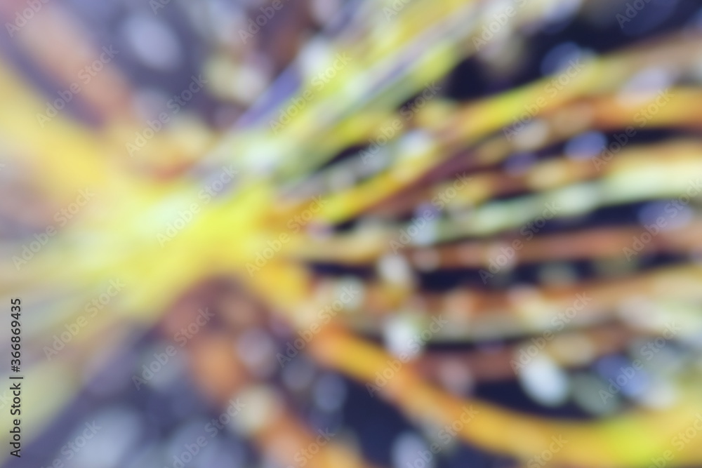 Poster blurred colorful light abstract background and pattern