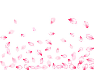 Spring tree flowers parts, airy flying petals