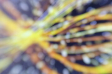 Blurred colorful light abstract background and pattern
