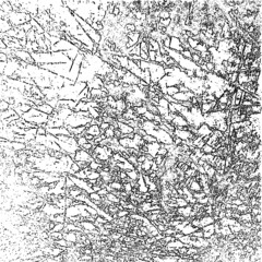 Fototapeta premium Grunge Background.Texture Vector.Dust Overlay Distress Grain ,Simply Place illustration over any Object to Create grungy Effect .abstract,splattered , dirty,poster for your design. 