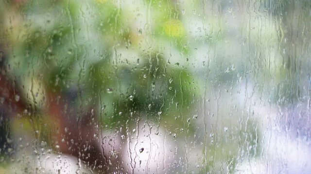 Raindrops on The Window and Blur Green Trees on The Background