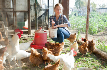 Smiling girl farmer feeding chicken from bucket with seed at farm © JackF