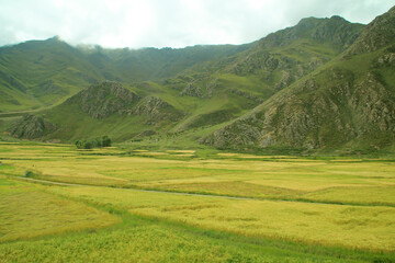Fototapeta na wymiar The scenery of Tibet from window of Qinghai Tibet Train (Lhasa Express), Tibet, China.