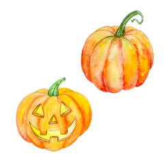 watercolor set two orange pumpkin