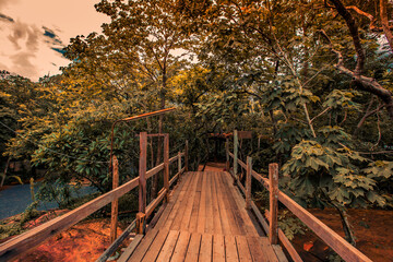 Background of wooden walkways (wooden bridges) created for high-angle views on mountains, natural attractions, or parks that have forest preservation