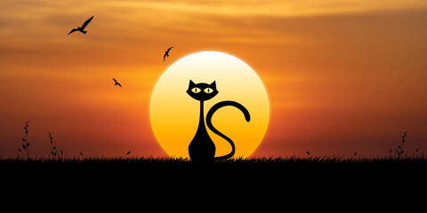 Cat walks at sunset, birds fly in the sky