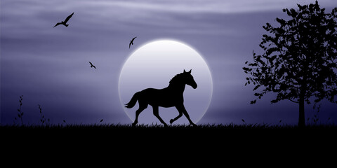 The horse walks in the moonlight at night, birds fly in the sky © feytullah