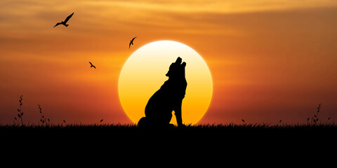 Wolf howls at sunset, birds fly in the sky