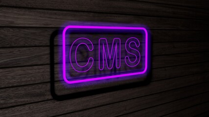 CMS purple color neon fluorescent tubes signs on wooden wall. 3D render, illustration, poster, banner. Inscription, concept on gray wooden wall background.