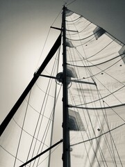 Sails on a sailboat open in the wind