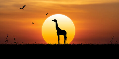 Giraffe walks up at sunset, birds fly in the sky