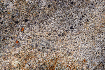 gray stone texture with inclusion and homogeneous background of the rock