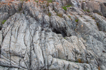gray stone texture with inclusion and homogeneous background of the rock