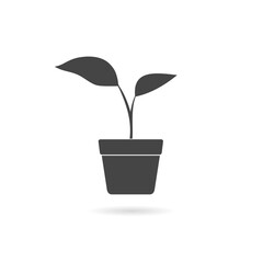 Small tree in flower pots icon with shadow