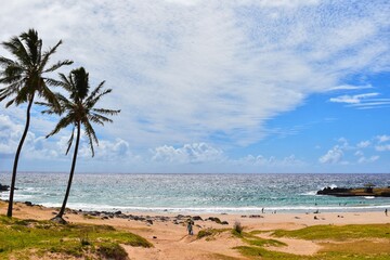 Playa con palmeras , arena amarilla y el cielo de fondo