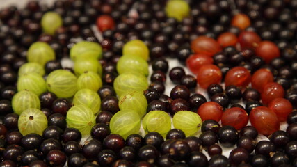 HLS inscription with gooseberry berries on the background of fresh black currant close up in perspective, healthy lifestyle food