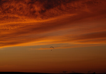 Landscape - Orange Paradise
