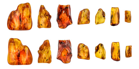 Set of natural ambers with insect fossils, isolated on white background. Front and back sides. © Mehmet Gokhan Bayhan