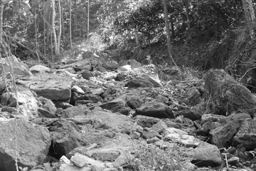 landslide disaster point