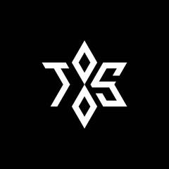 TS monogram logo with star shape and luxury style