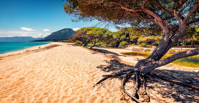 Sunny morning view of Osala Beach. Fantastic summer scene of Sardinia island, Italy, Europe. Beautiful seascape of Mediterranean sea. Traveling concept background.