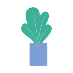 house plant in ceramic pot icon