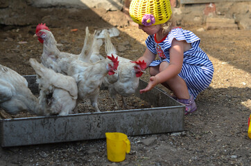 Caucasian child 2 years old with blond hair outdoor in the barn with hens © Marina Shvedak