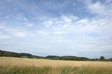 Agriculture in Extertal, Germany