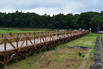 木造の橋